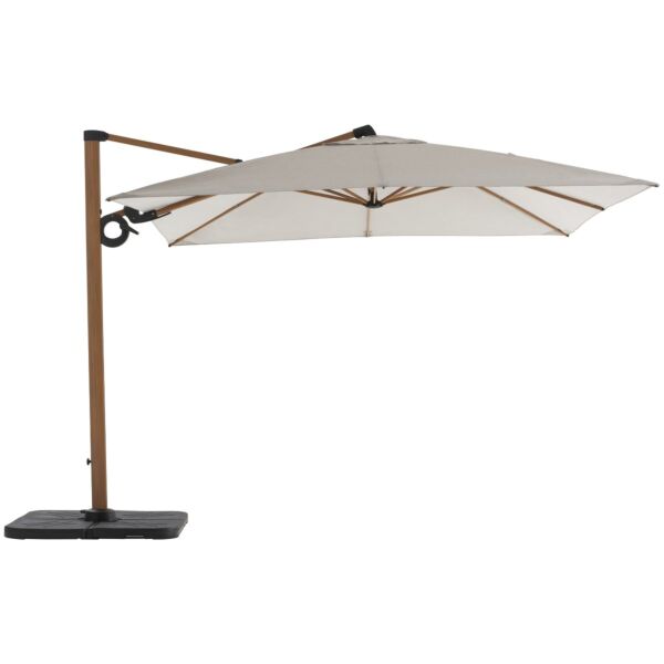 baytonia_main product photo