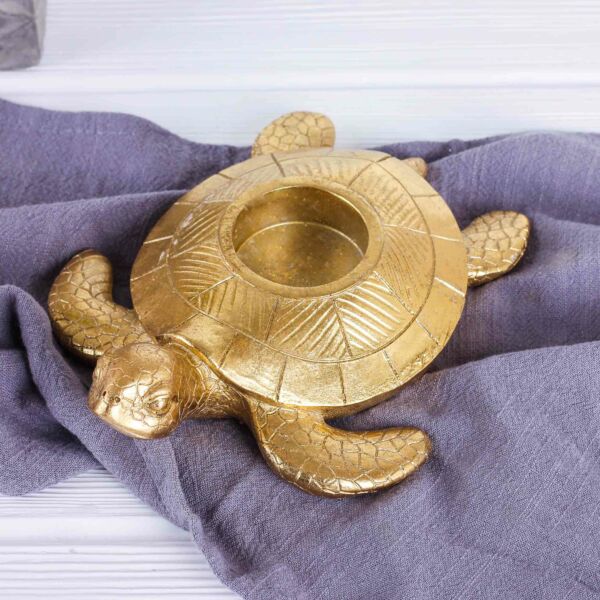baytonia_main product photo