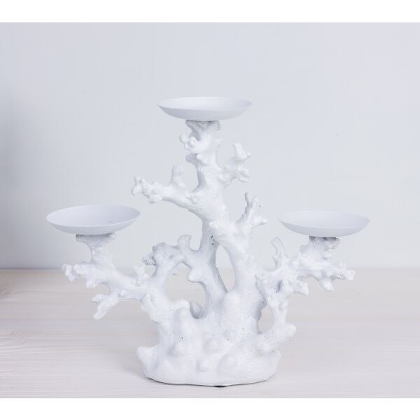 baytonia_main product photo