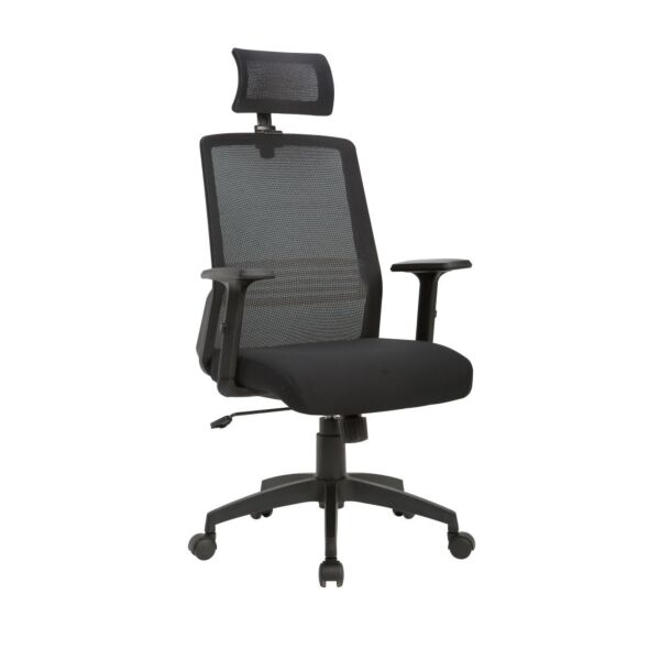 baytonia_main product photo