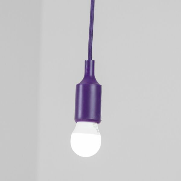 baytonia_main product photo