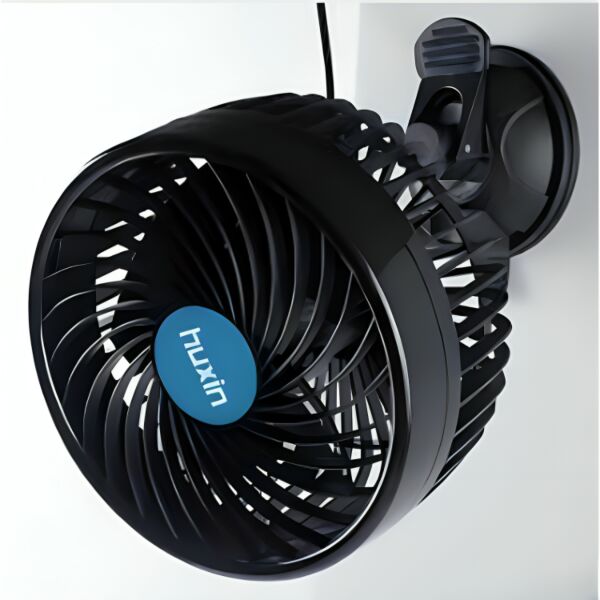 baytonia_main product photo