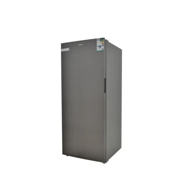 baytonia_main product photo