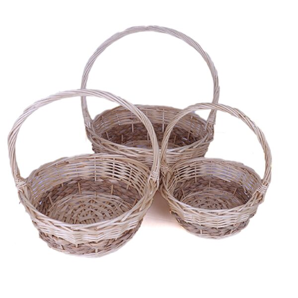baytonia_main product photo