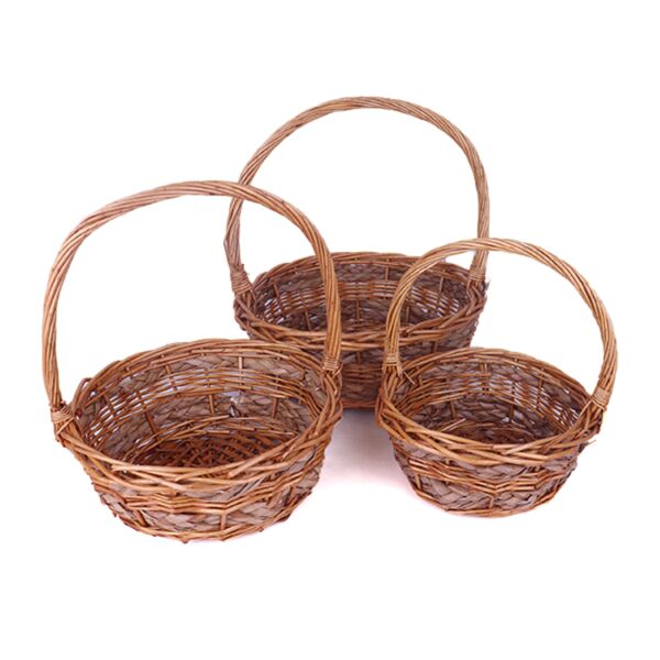 baytonia_main product photo