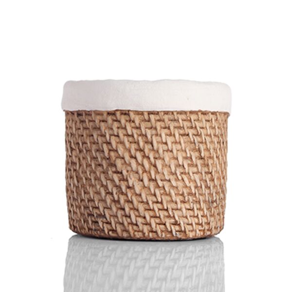 baytonia_main product photo