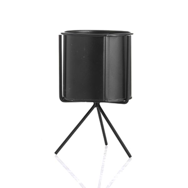 baytonia_main product photo