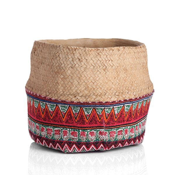 baytonia_main product photo