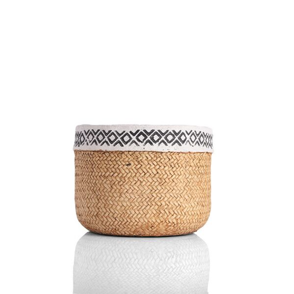baytonia_main product photo