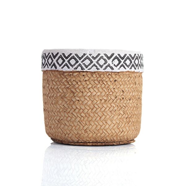 baytonia_main product photo