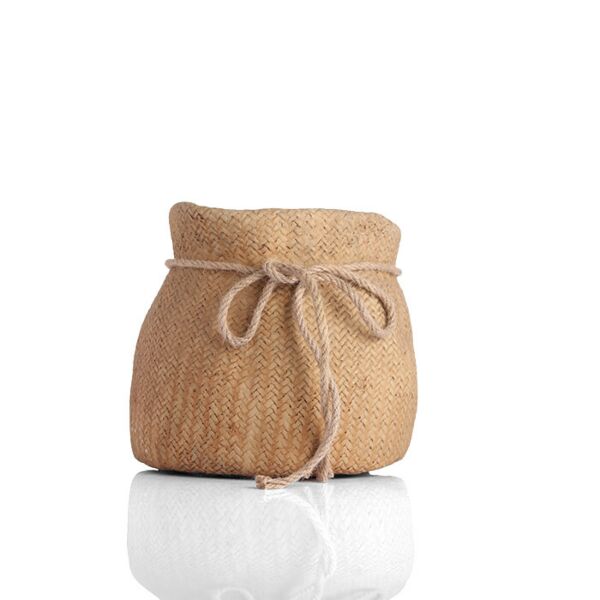 baytonia_main product photo