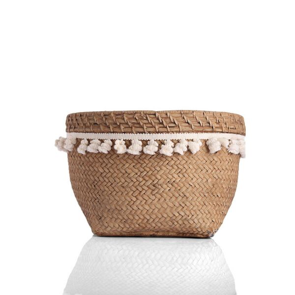 baytonia_main product photo