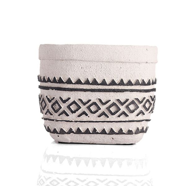 baytonia_main product photo