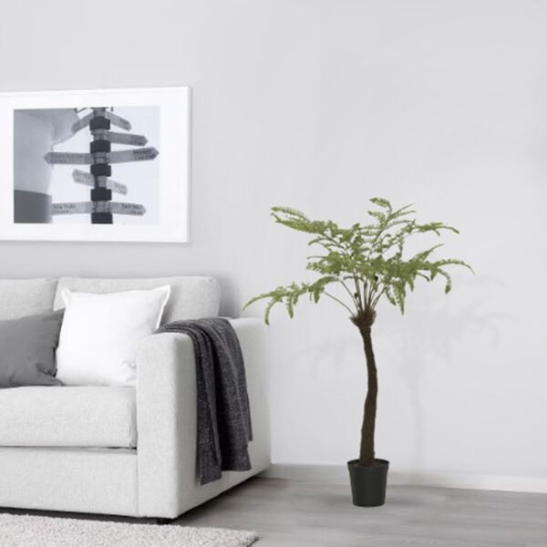 baytonia_main product photo