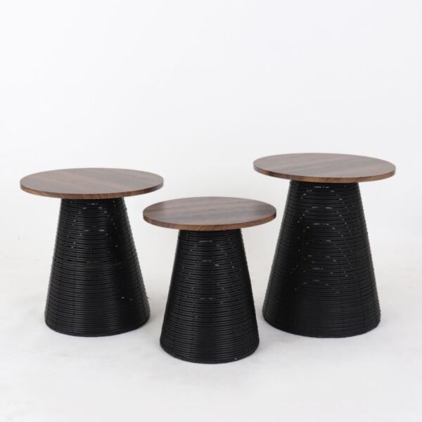 baytonia_main product photo