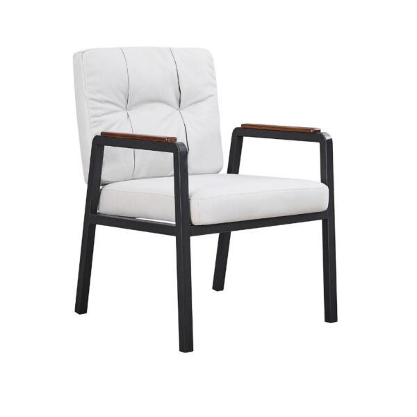 baytonia_main product photo