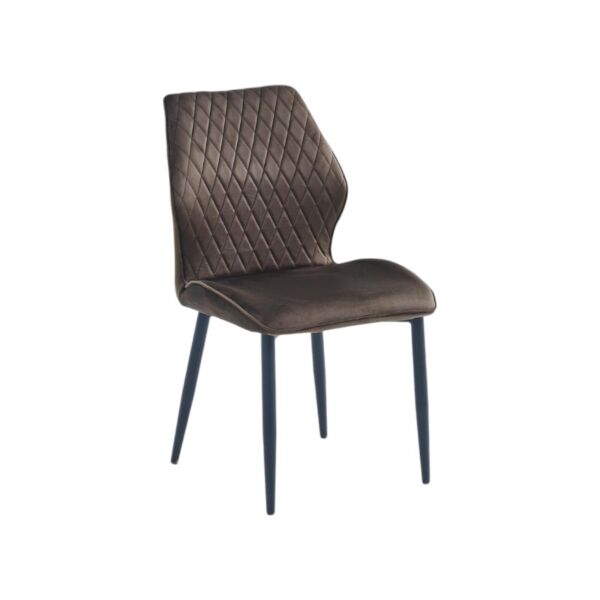 baytonia_main product photo