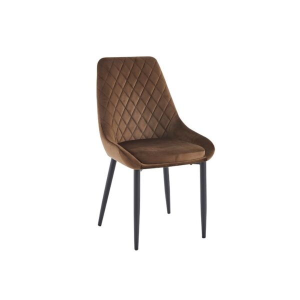 baytonia_main product photo