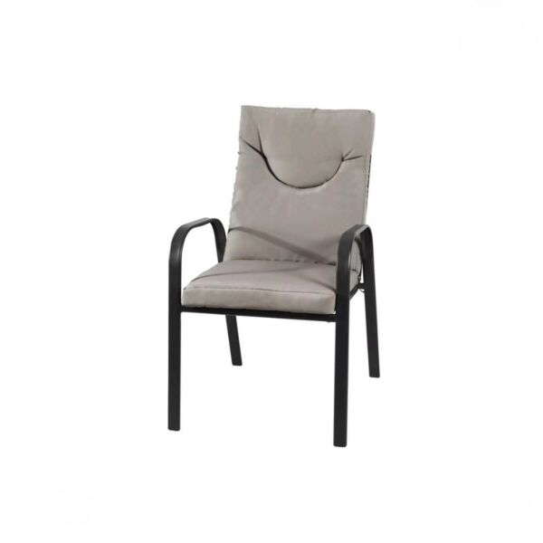 baytonia_main product photo