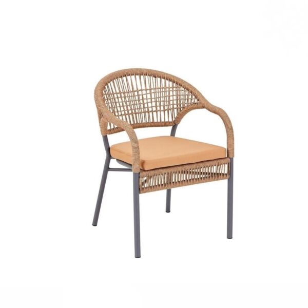 baytonia_main product photo