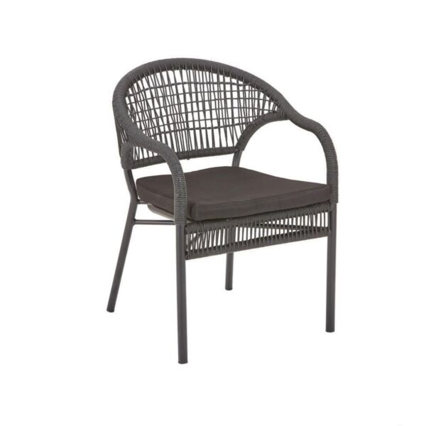 baytonia_main product photo