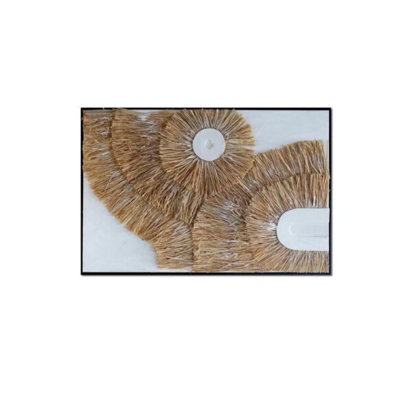 baytonia_main product photo