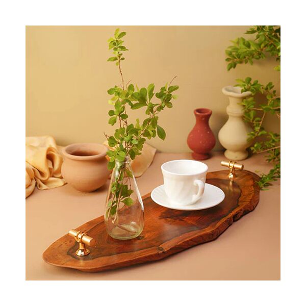 baytonia_main product photo