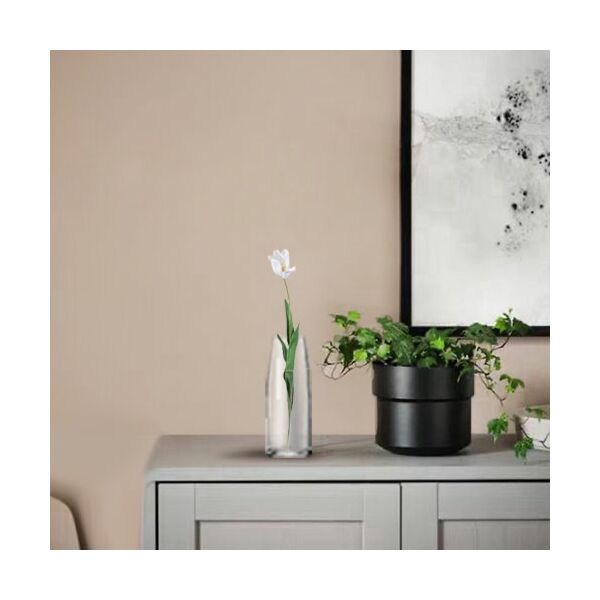 baytonia_main product photo