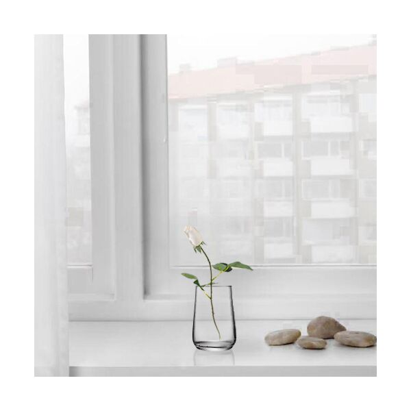 baytonia_main product photo