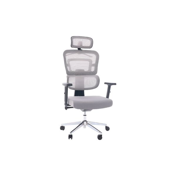 baytonia_main product photo