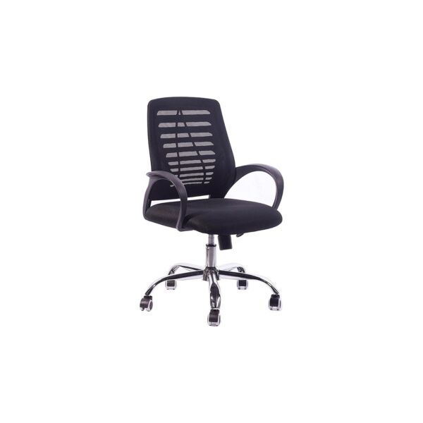 baytonia_main product photo