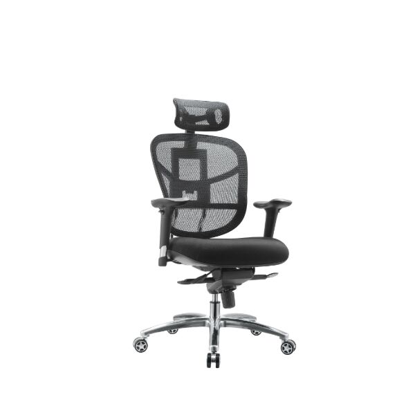 baytonia_main product photo