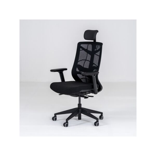 baytonia_main product photo