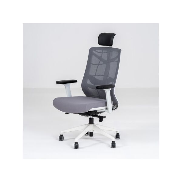 baytonia_main product photo