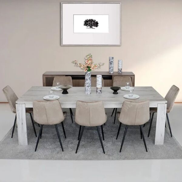 baytonia_main product photo