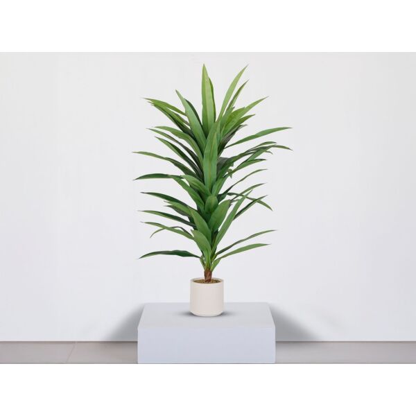 baytonia_main product photo