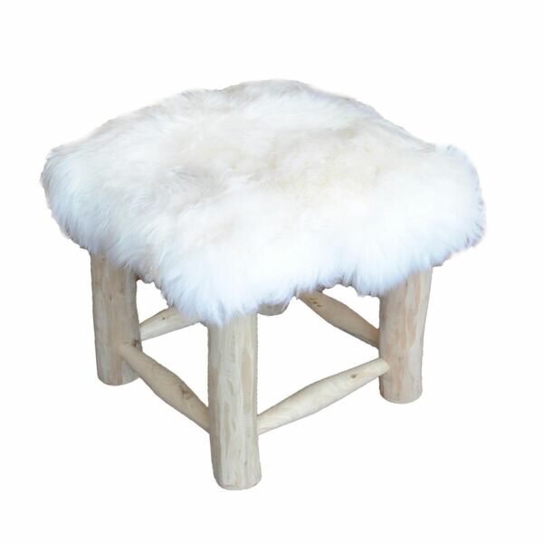 baytonia_main product photo