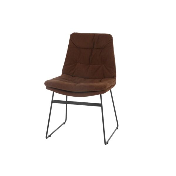 baytonia_main product photo