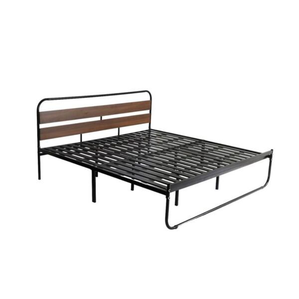 baytonia_main product photo