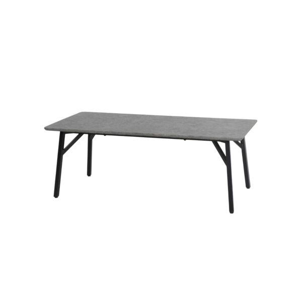 baytonia_main product photo