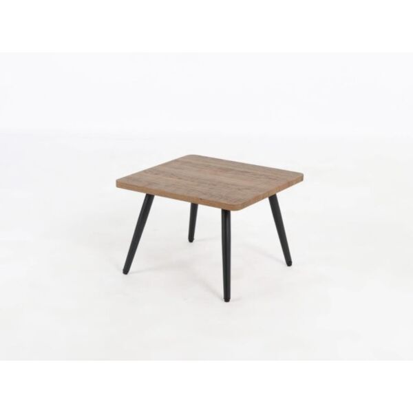baytonia_main product photo