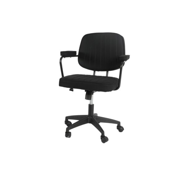 baytonia_main product photo