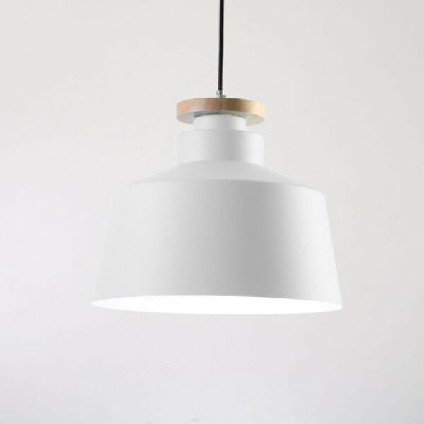baytonia_main product photo
