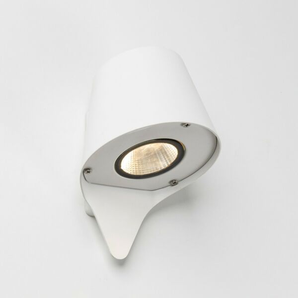 baytonia_main product photo