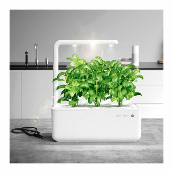 baytonia_main product photo