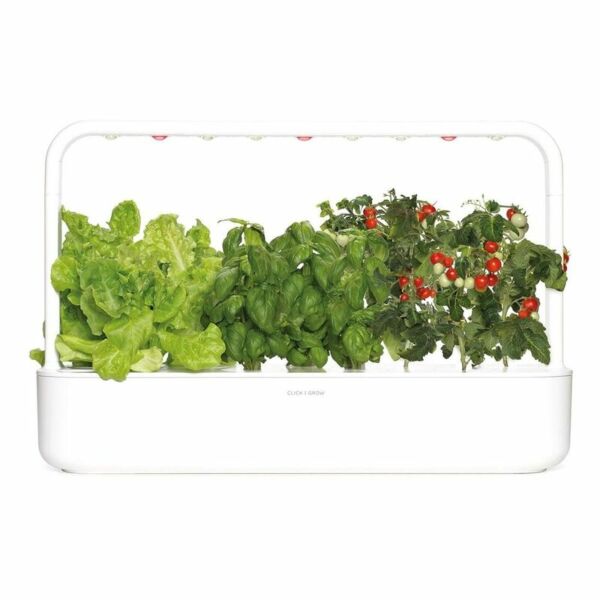 baytonia_main product photo