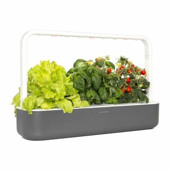 baytonia_main product photo