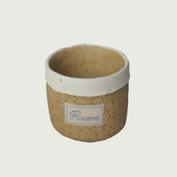 baytonia_main product photo