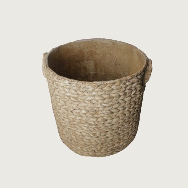 baytonia_main product photo