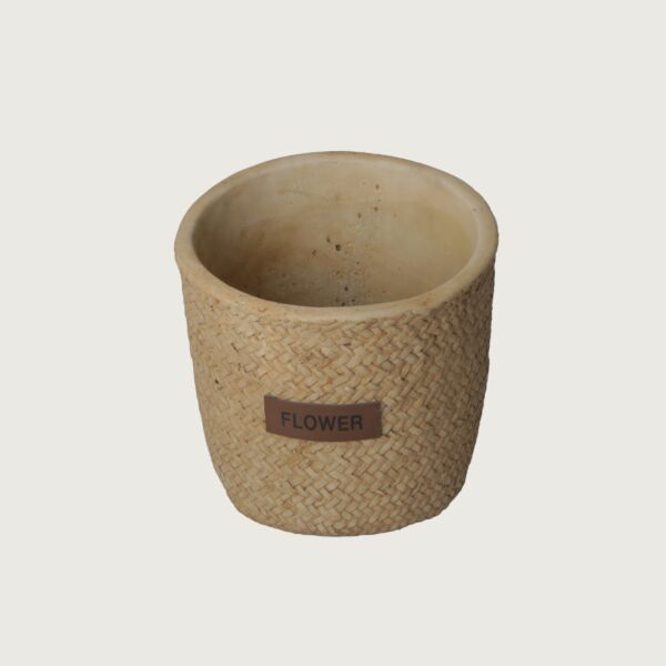 baytonia_main product photo